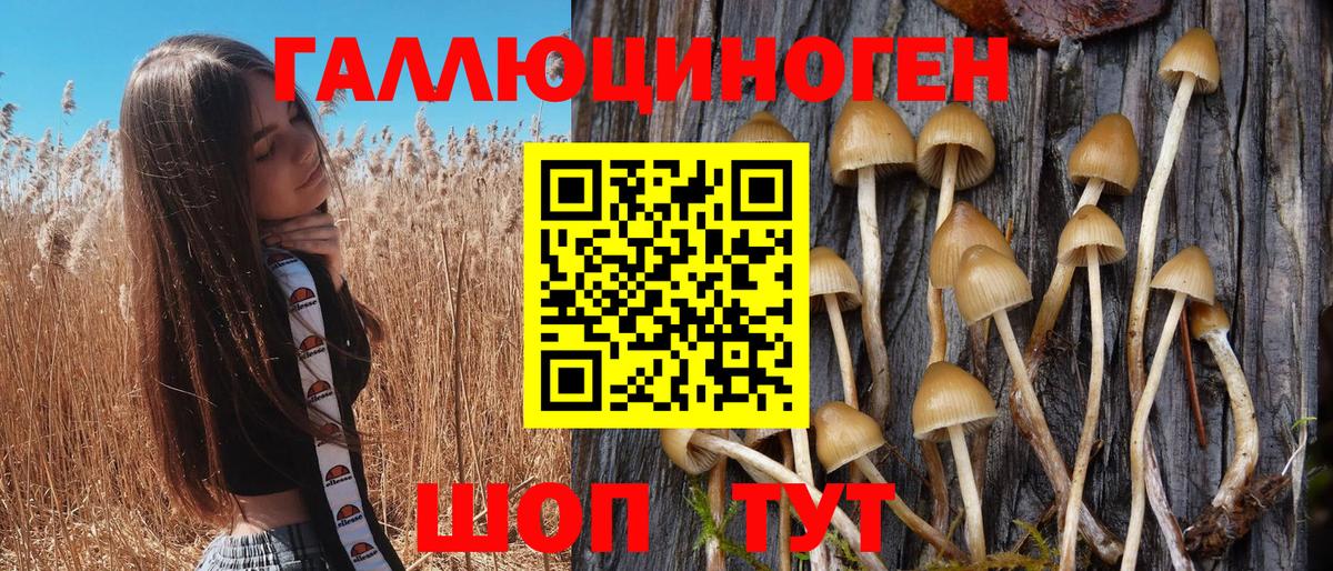 Псилоцибиновые грибы MAGIC MUSHROOMS  Вход с VPN  Дзержинский 